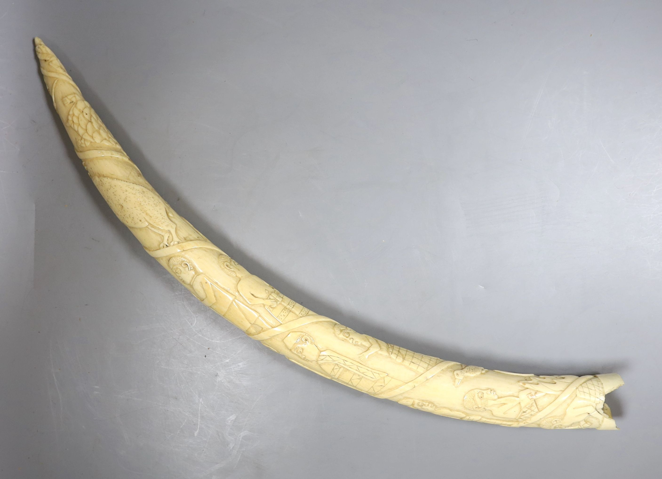 A 19th-century Luango tribal carved ivory tusk, Democratic Republic of Congo, 53 cm long